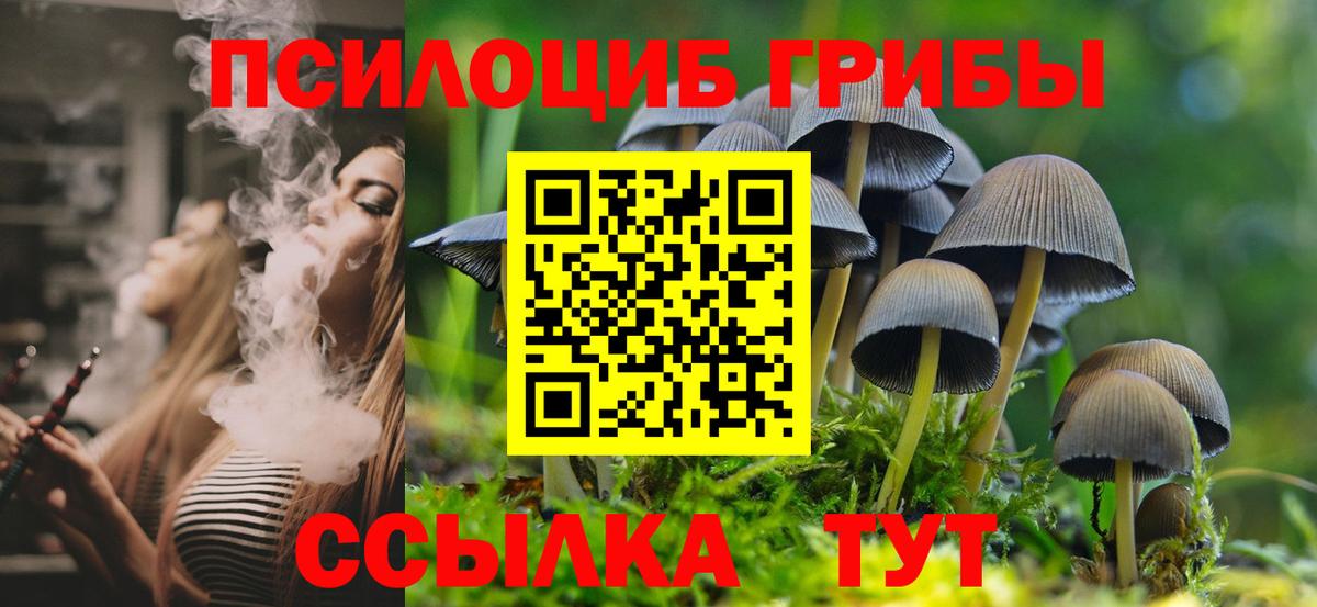 Электрогорск  Псилоцибиновые грибы Psilocybe  Вход с VPN 