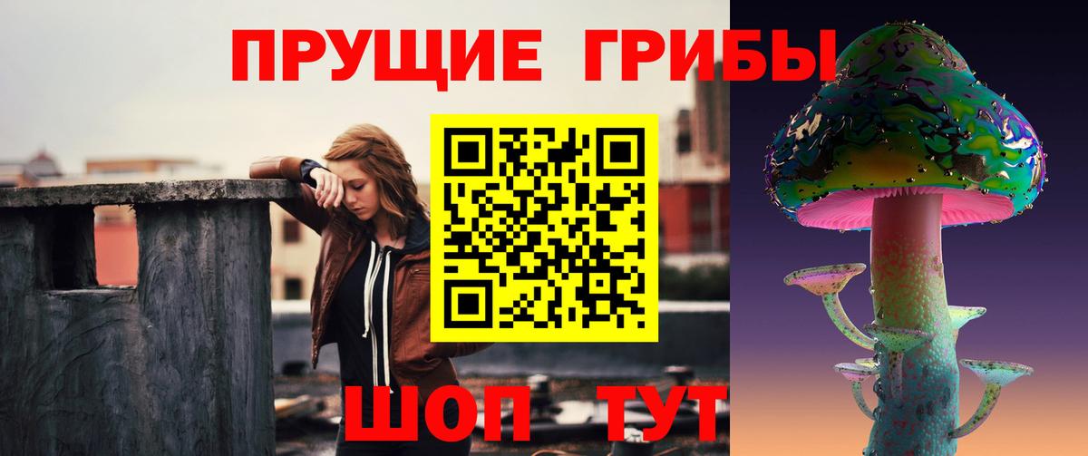Галлюциногенные грибы Magic Shrooms Электрогорск