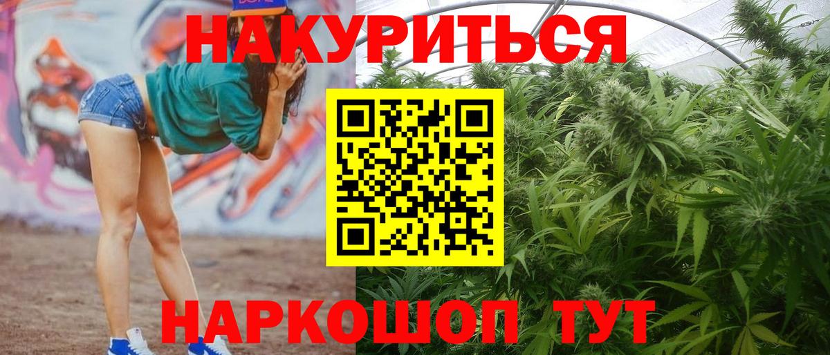 МАРИХУАНА планчик  Конопля сатива  Электрогорск  Бошки Шишки White Widow  Вход с VPN 